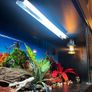 reptile vivarium Image 6