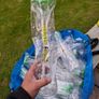 slush puppy Image 2