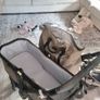 double buggy Image 5