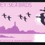 1975 Jersey Seabirds Commemorative Stamps Presentation Pack Image 2