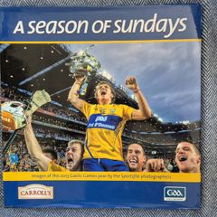 GAA A Season of Sundays 2013 Clare champions