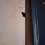Irish- English Dictionary / Focloir Gaeilge - Bearla / Niall O Donaill /1977 Image 8