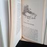 Run for Cover: The Story of the Gene Machine by Tom McCaughren (RB268) Image 3