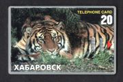 Russia 20 unit Khabarovsk Tiger (Generic Manufacturer) Telephone Card