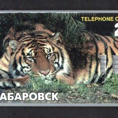 Russia 20 unit Khabarovsk Tiger (Generic Manufacturer) Telephone Card
