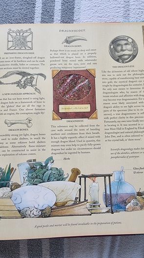 Dragonology & Dragon Chronicles Books Hardbacks