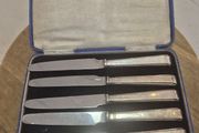Antique Weir&amp;Co wicklow st. DUBLIN  Silver/plated stainless steel dinner knives boxed set