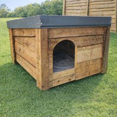 dog box