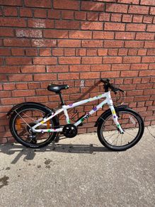frog kids bike