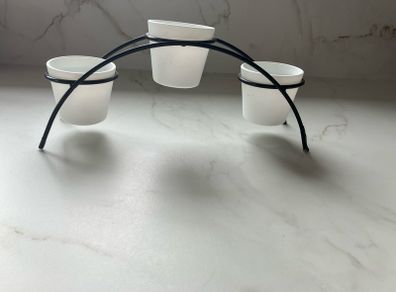 Plant holder