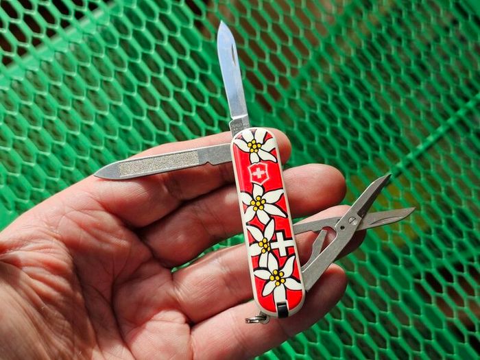 Vintage Wenger Esquire 65mm Swiss Army Knife Discontinued Collectable with Modern Delemont Victorinox Scales