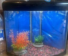 large light up fish tank