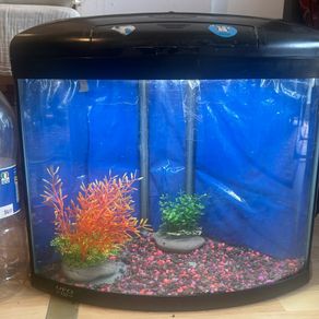 large light up fish tank