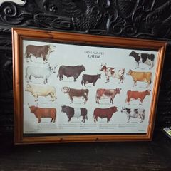1979 Frederick Warne "Farm Animals Cattle" framed print