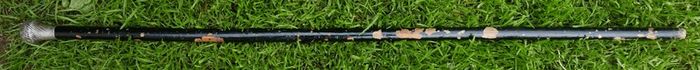 Antique Silver Handled Walking Stick. Twisted Silver Finish Handle