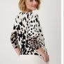 Monari Leopard Print Cotton Knit Jumper - Creamy Beige - UK 12 - BNWT RRP 150 Image 3