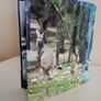 The Natural Wonders of Australia by Colour Library Books (RB303) Image 6