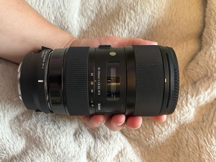 Sony A6000 + sigma 18-35mm F1.8 with Sony FE converter( original fitting on Nikon) small rig case included +batteries