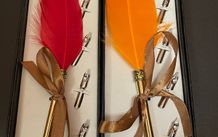 feather quill pens x2