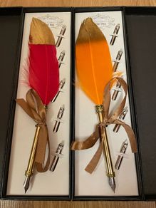 feather quill pens x2
