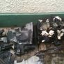 Ford Escort mk3 / Ford Fiesta mk1/mk2 Parts Lot Image 2