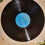 Brendan Shine Rose of Castlerea vinyl album Image 3