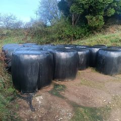 Round bale Silage
