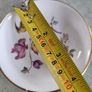 Rare find Wedgwood AUTAN CRANE vintage  small Round dish bone china, trinket dish, English bone china. Image 5