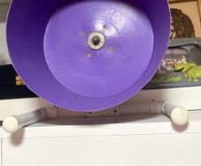 small pet wheel
