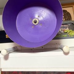 small pet wheel