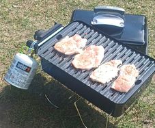 weber