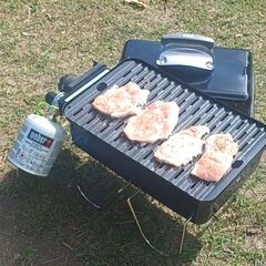 weber