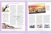 1997 Jersey (Channel Islands) Stamp Year Book (softback) issued by Jersey Post with 14 images of contents
