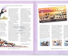 1997 Jersey (Channel Islands) Stamp Year Book (softback) issued by Jersey Post with 14 images of contents