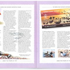 1997 Jersey (Channel Islands) Stamp Year Book (softback) issued by Jersey Post with 14 images of contents