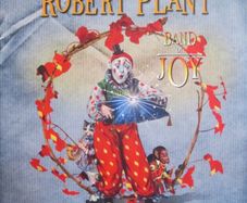 Robert Plant Band of Joy lp EU 2010 1st press