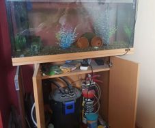 fish tank