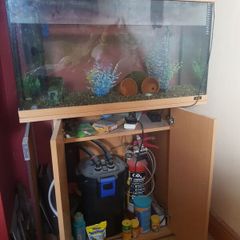 fish tank
