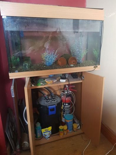 fish tank