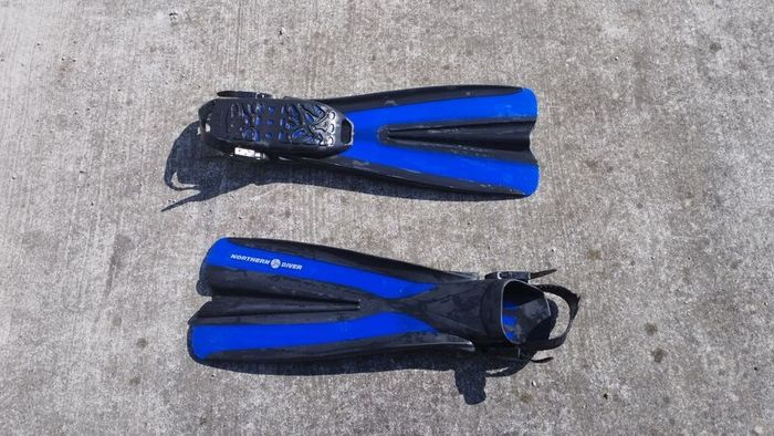 scuba diving fins.