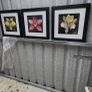 3 framed pictures Image 3