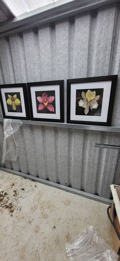 3 framed pictures