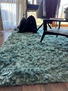 Velvet Plush Blue Rug