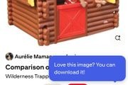 Play house