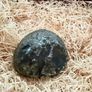 Polished blue agate geode slice. Image 9