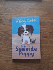 The seaside puppy