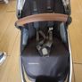 Uppababy Vista V2 Rumble Seat Image 3
