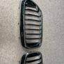 BMW Radiator Grills Image 2