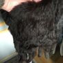 Fur knitted scarf with pockets, as new Image 2