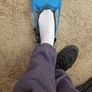 Flippers junior Image 2